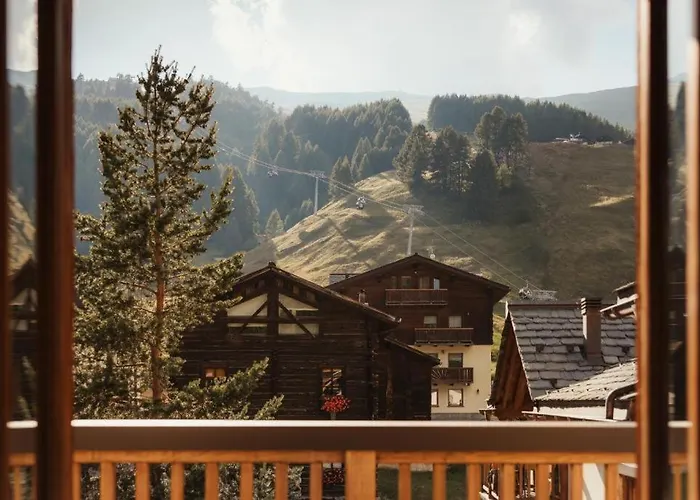 Bonvivar - Mountain